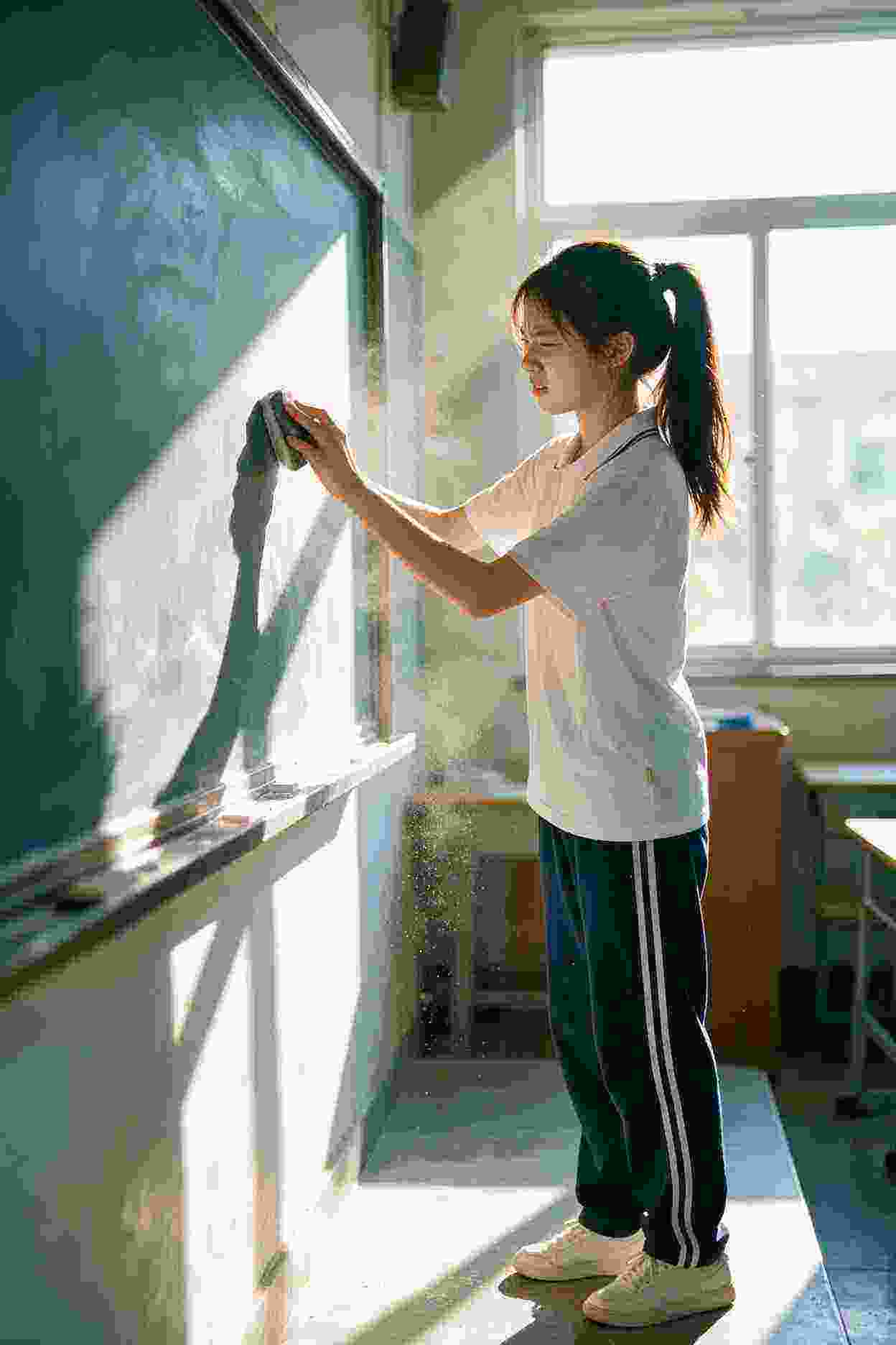 《樱花树下的约定》